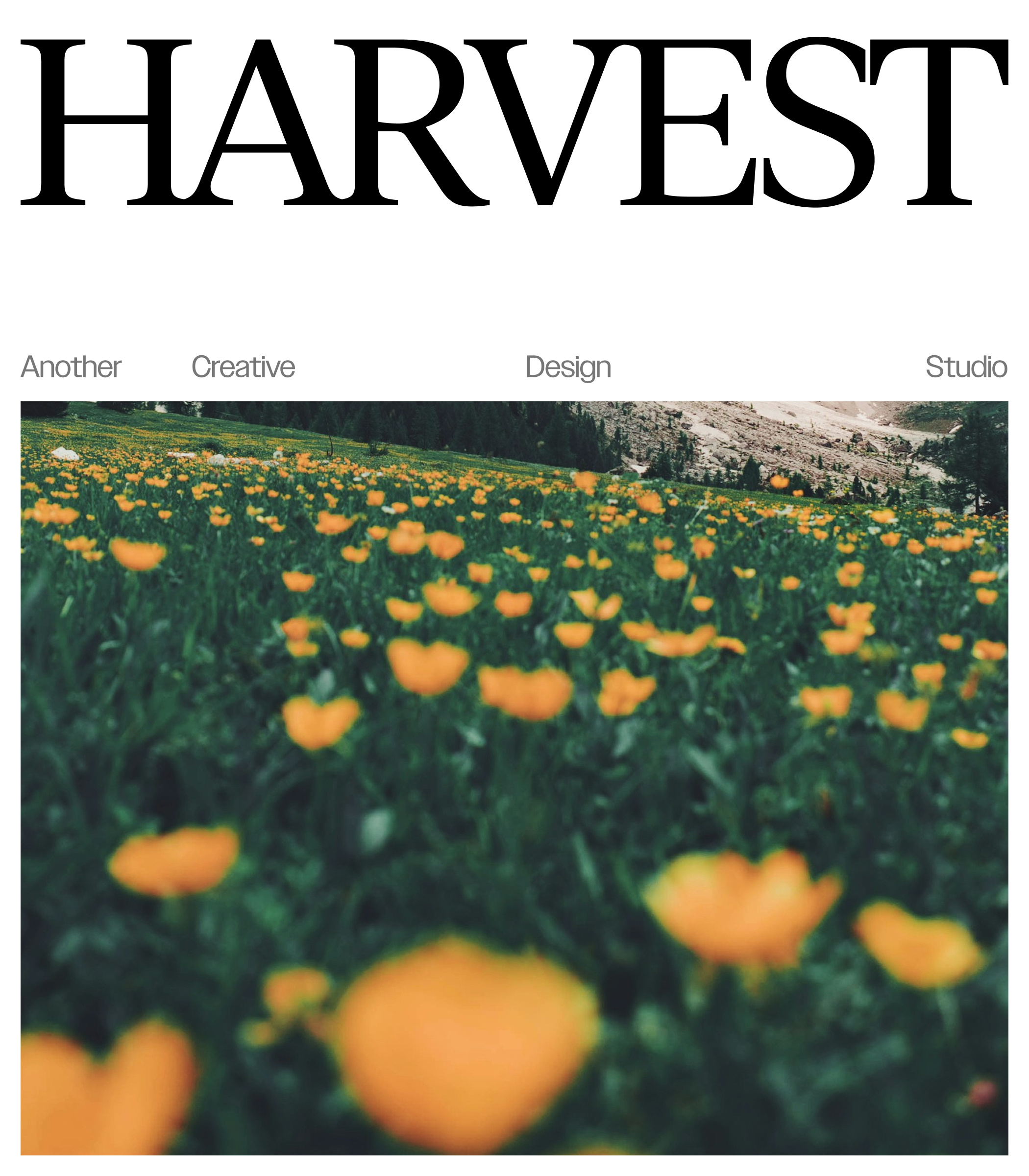 Harvest Brand Extension 1