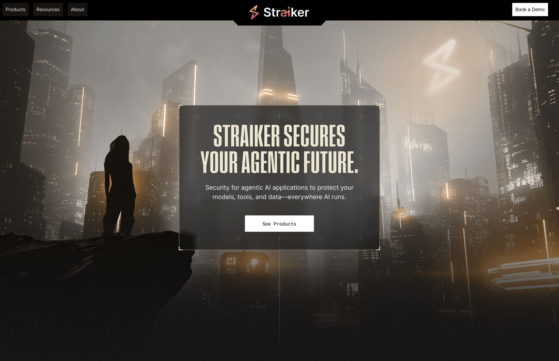 Straiker Website Hero